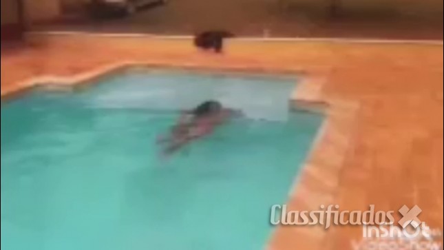 ARIANNE NAVARRO TRAVESTI NATURAL PARA SEU DELEITE