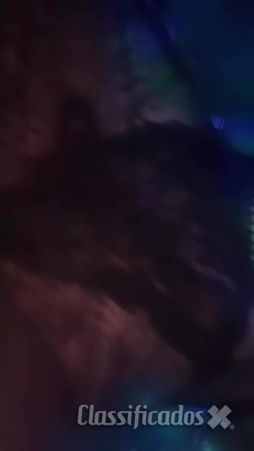 ⚡CONTEÚDOS BOMBÁSTICOS ⚡️TS LOIRA BARBIE VEM FESTEJAR HOJE ⚡